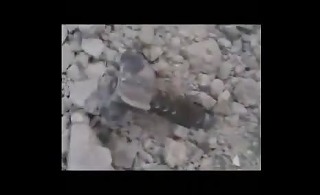 Brutal death by mortar shelling